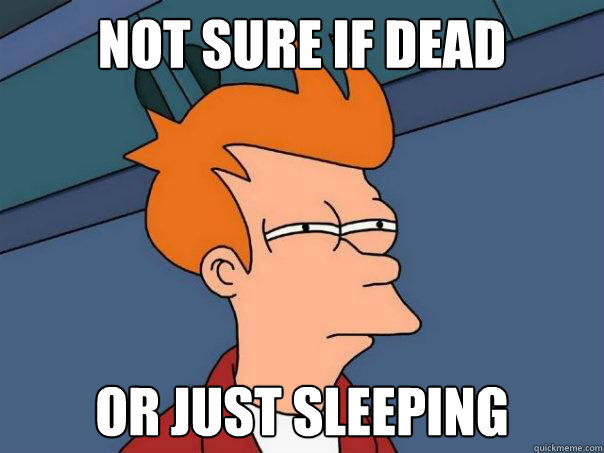 NOT SURE if dead or just sleeping   Futurama Fry