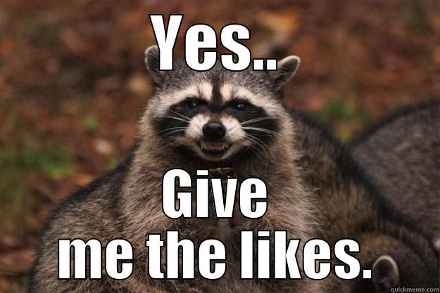 Mmm.. yesss.... - YES.. GIVE ME THE LIKES. Evil Plotting Raccoon