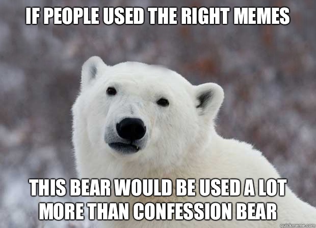 If people used the right memes This bear would be used a lot more than confession bear - If people used the right memes This bear would be used a lot more than confession bear  Popular Opinion Polar Bear