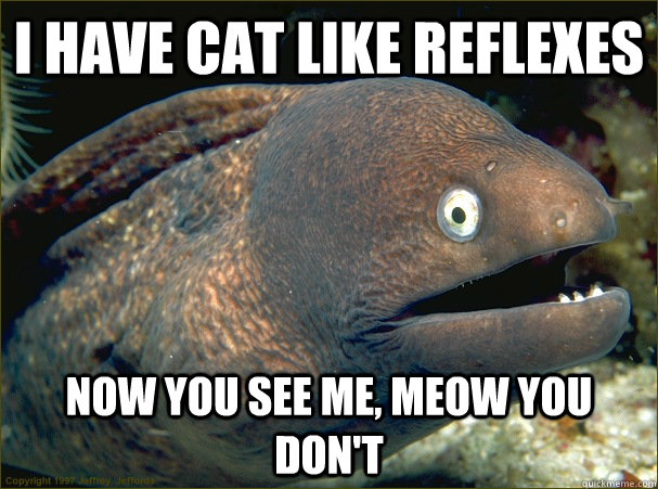 I have cat like reflexes now you see me, meow you don't  Bad Joke Eel