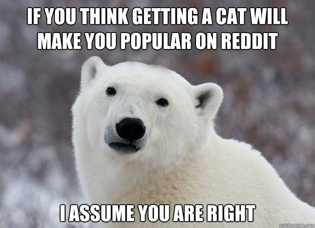 If you think getting a cat will make you popular on reddit I assume you are right  Popular Opinion Polar Bear