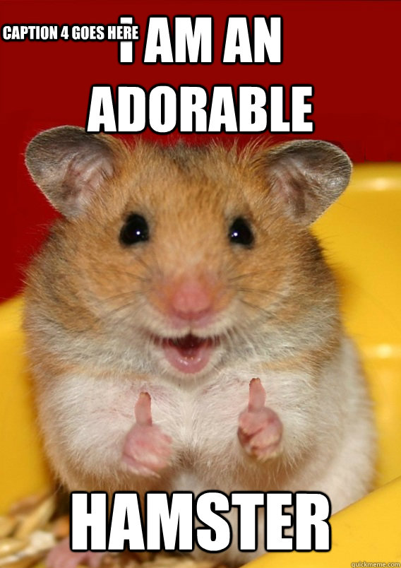 I am an adorable hamster  Caption 4 goes here - I am an adorable hamster  Caption 4 goes here  Rationalization Hamster