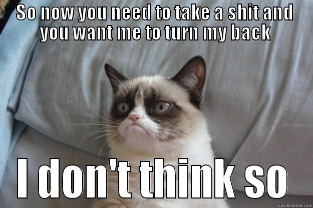 SO NOW YOU NEED TO TAKE A SHIT AND YOU WANT ME TO TURN MY BACK I DON'T THINK SO Grumpy Cat