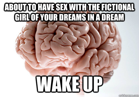 about to have sex with the fictional girl of your dreams in a dream WAKE UP  Scumbag Brain