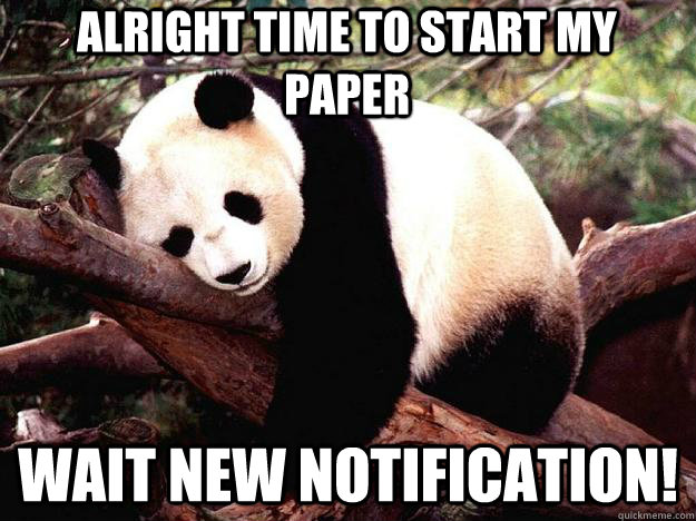 ALRIGHT TIME TO START MY PAPER WAIT NEW NOTIFICATION!  Procrastination Panda