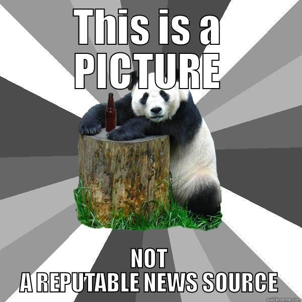 This  is a PICTURE not a reputable news source - THIS IS A PICTURE NOT A REPUTABLE NEWS SOURCE Pickup-Line Panda