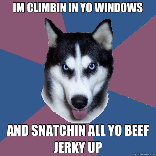 IM CLIMBIN IN YO WINDOWS AND SNATCHIN ALL YO BEEF JERKY UP  Creeper Canine