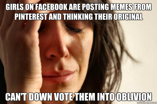 Girls on Facebook are posting memes from pinterest and thinking their original  can't down vote them into oblivion   First World Problems