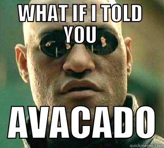 Avacodo Matrix - WHAT IF I TOLD YOU   AVACADO Matrix Morpheus