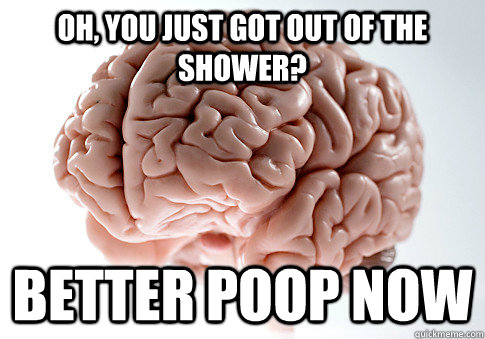 Oh, you just got out of the shower? Better poop now  Scumbag Brain