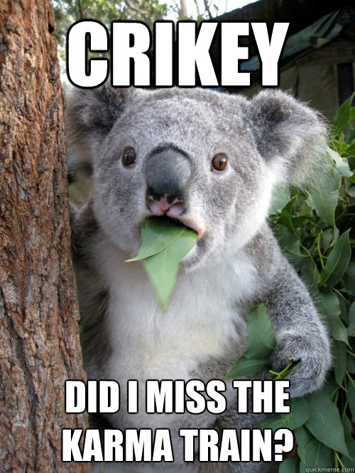 Crikey did i miss the karma train? - Crikey did i miss the karma train?  Disbelieving Koala