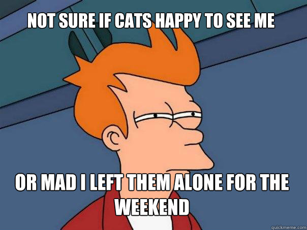 Not sure if cats happy to see me or mad i left them alone for the weekend  Futurama Fry