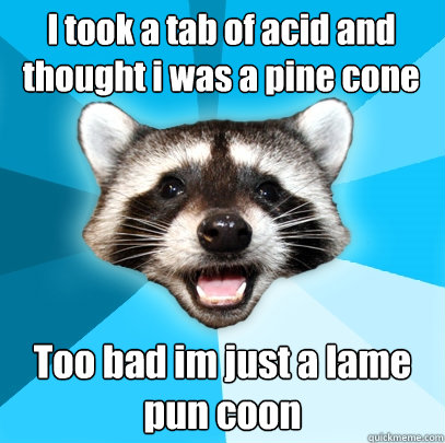 I took a tab of acid and thought i was a pine cone Too bad im just a lame pun coon  Lame Pun Coon