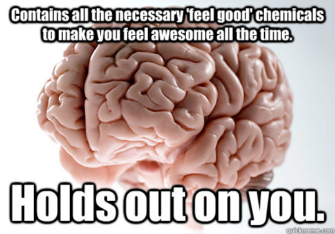 Contains all the necessary 'feel good' chemicals to make you feel awesome all the time. Holds out on you.   Scumbag Brain