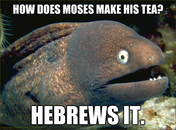 How does moses make his tea? Hebrews it.  Bad Joke Eel