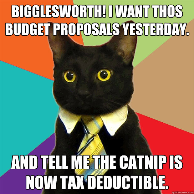 Bigglesworth! I want thos Budget Proposals Yesterday. And tell me the Catnip is now tax deductible.  Business Cat