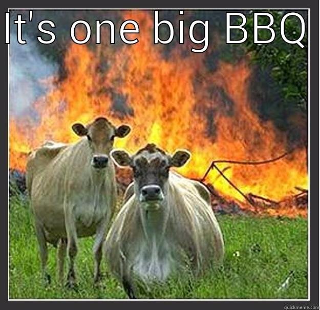 IT'S ONE BIG BBQ   Evil cows