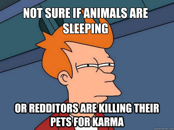 Not sure if animals are sleeping or redditors are killing their pets for karma  Futurama Fry