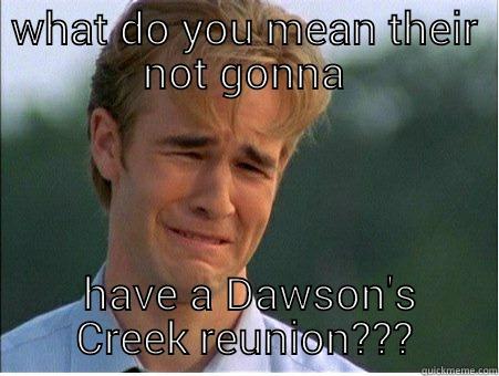 WHAT DO YOU MEAN THEIR NOT GONNA  HAVE A DAWSON'S CREEK REUNION??? 1990s Problems