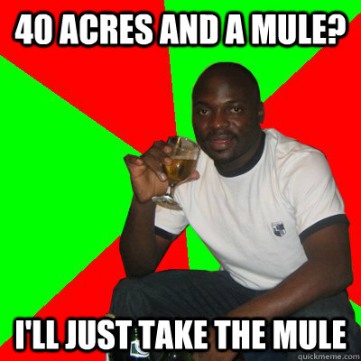 40 acres and a mule? I'll just take the mule - 40 acres and a mule? I'll just take the mule  Low Expectations Black Father