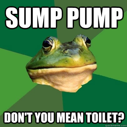 Sump pump Don't you mean toilet? - Sump pump Don't you mean toilet?  Foul Bachelor Frog