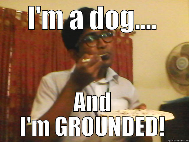 The Dog Is Grounded! - I'M A DOG.... AND I'M GROUNDED! Misc