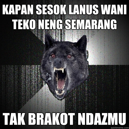 kapan sesok lanus wani teko neng semarang tak brakot ndazmu  Insanity Wolf