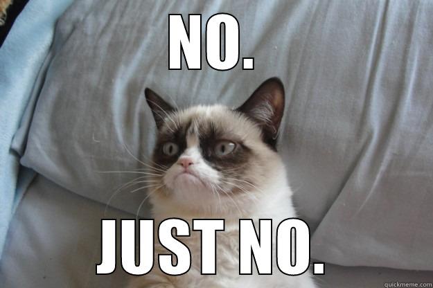 NO I SAID NO - NO. JUST NO. Grumpy Cat