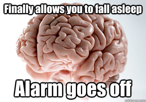 Finally allows you to fall asleep Alarm goes off  Scumbag Brain