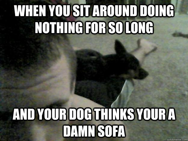 When you sit around doing nothing for so long and your dog thinks your a damn sofa  sofa butt