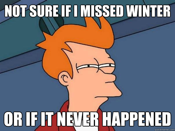 Not sure if i missed winter Or if it never happened  Futurama Fry