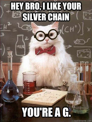 HEY BRO, I LIKE YOUR SILVER CHAIN YOU'RE A G.  Chemistry Cat