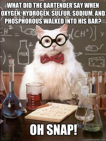 What did the bartender say when oxygen, hydrogen, sulfur, sodium, and phosphorous walked into his bar? OH SNaP! - What did the bartender say when oxygen, hydrogen, sulfur, sodium, and phosphorous walked into his bar? OH SNaP!  Chemistry Cat