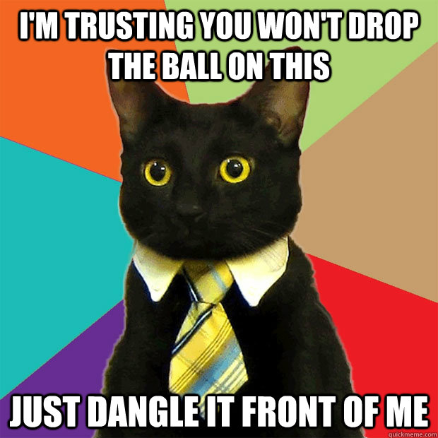 I'm trusting you won't drop the ball on this Just dangle it front of me  Business Cat