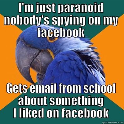 Well now I'm really paranoid - I'M JUST PARANOID NOBODY'S SPYING ON MY FACEBOOK GETS EMAIL FROM SCHOOL ABOUT SOMETHING I LIKED ON FACEBOOK Paranoid Parrot