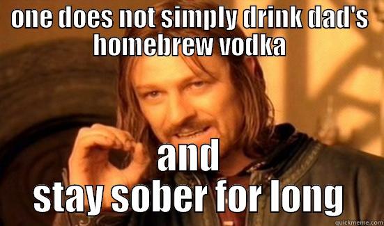 ONE DOES NOT SIMPLY DRINK DAD'S HOMEBREW VODKA AND STAY SOBER FOR LONG Boromir