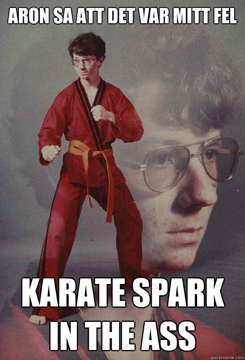 ARON SA ATT DET VAR MITT FEL KARATE SPARK IN THE ASS  Karate Kyle