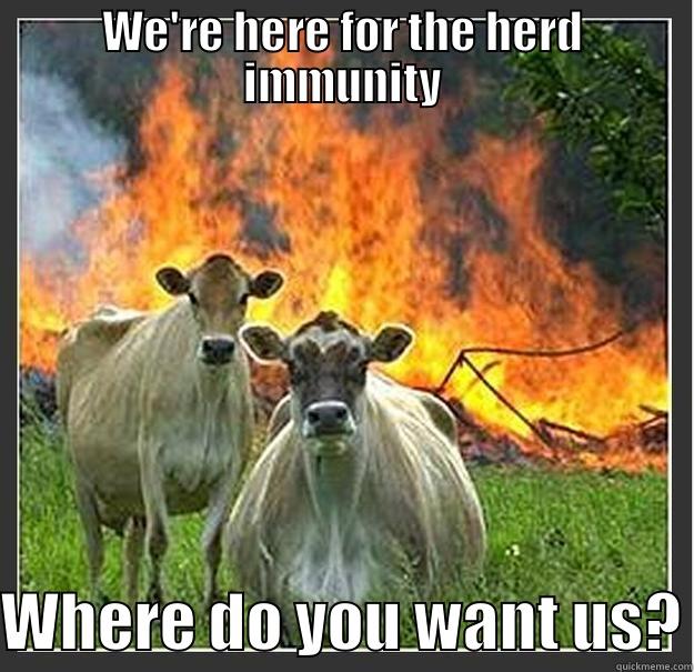 WE'RE HERE FOR THE HERD IMMUNITY WHERE DO YOU WANT US? Evil cows