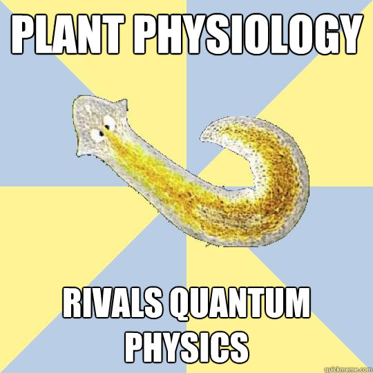 plant physiology rivals quantum physics  Bio Major Planarian