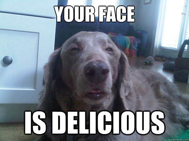 Your face Is delicious  10 Dog