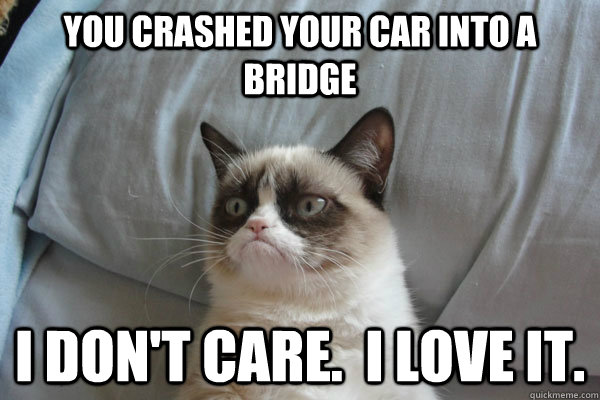 You crashed your car into a bridge I don't care.  I love it. - You crashed your car into a bridge I don't care.  I love it.  Misc