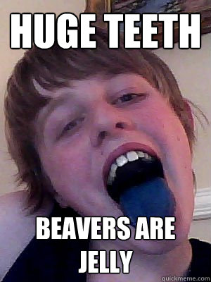 huge teeth beavers are jelly  Calvins big teeth