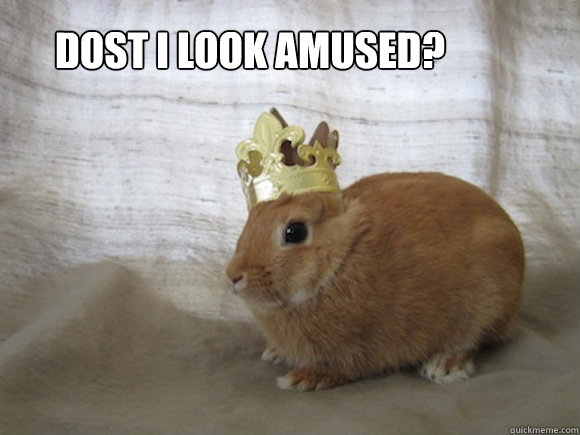 Dost i look amused? 
  Renaissance Rabbit