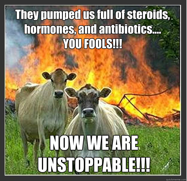 They pumped us full of steroids, hormones, and antibiotics....
YOU FOOLS!!! NOW WE ARE UNSTOPPABLE!!!  Evil cows