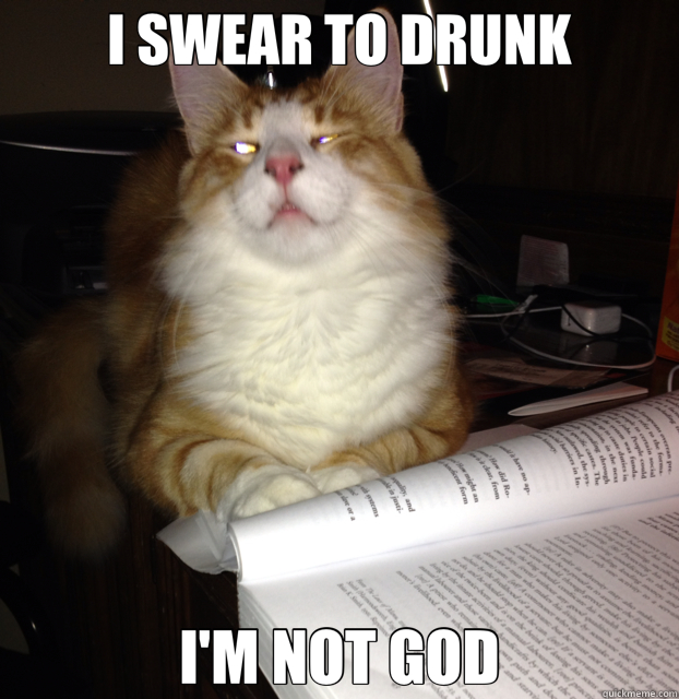 I SWEAR TO DRUNK I'M NOT GOD  Drunk Cat