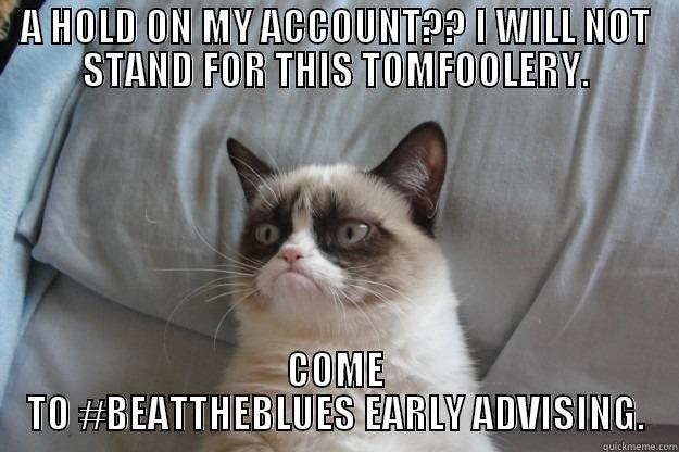 A HOLD ON MY ACCOUNT?? I WILL NOT STAND FOR THIS TOMFOOLERY. COME TO #BEATTHEBLUES EARLY ADVISING. Grumpy Cat