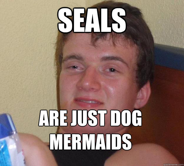 Seals Are just dog mermaids
  10 Guy