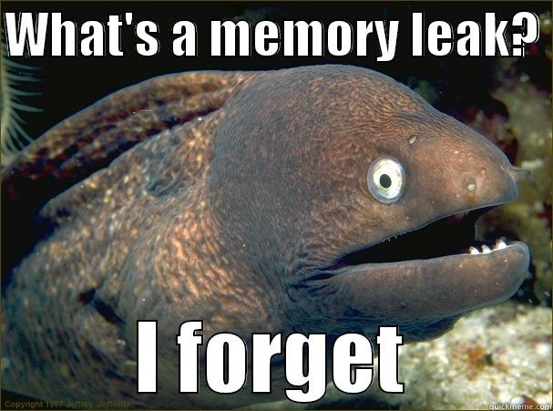 memory leaks - WHAT'S A MEMORY LEAK?  I FORGET Bad Joke Eel