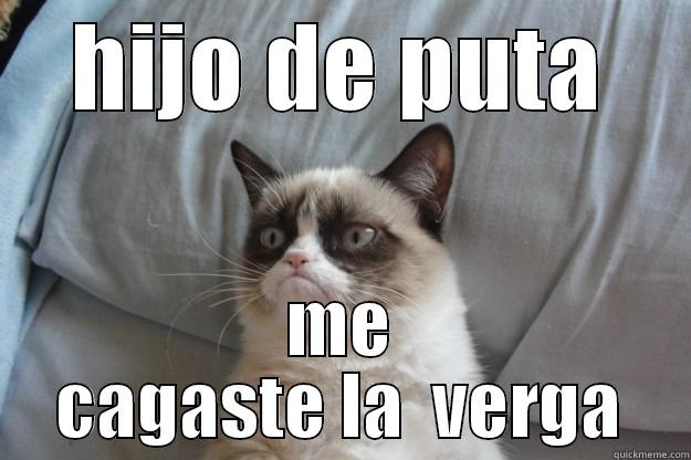 HIJO DE PUTA ME CAGASTE LA  VERGA Grumpy Cat