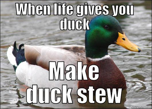 WHEN LIFE GIVES YOU DUCK MAKE DUCK STEW Actual Advice Mallard